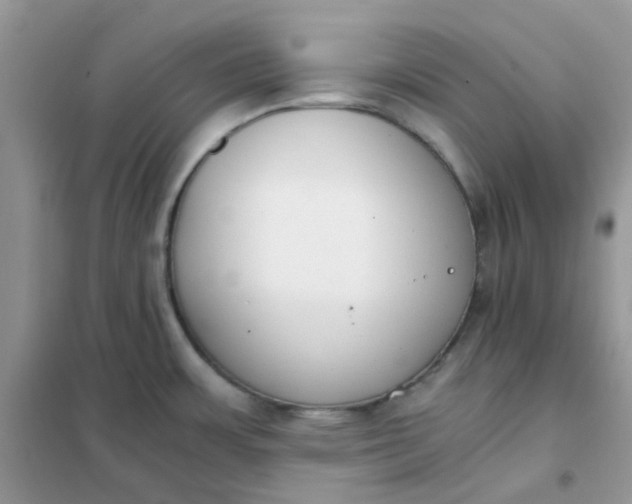 X0000102031483200808011436