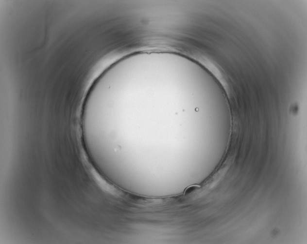 X0000102031485200808011436