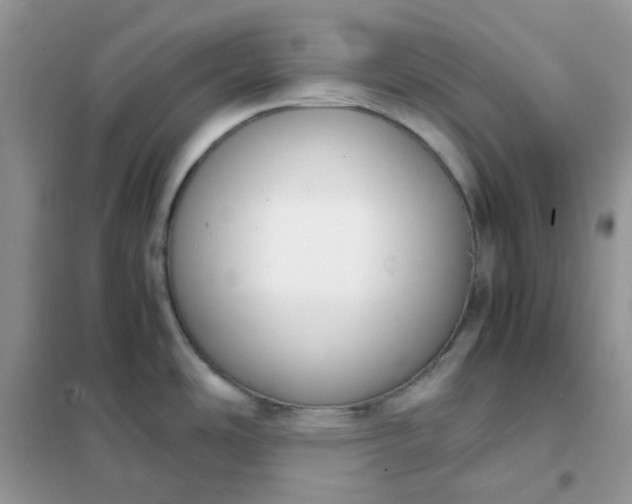 X0000102031486200808011436