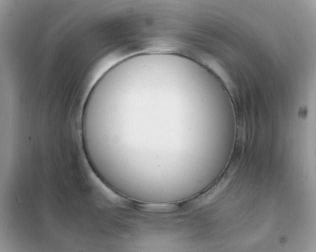 X0000102031487200808011436