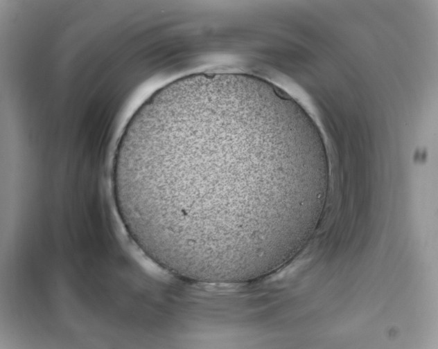 X0000102031488200808011436