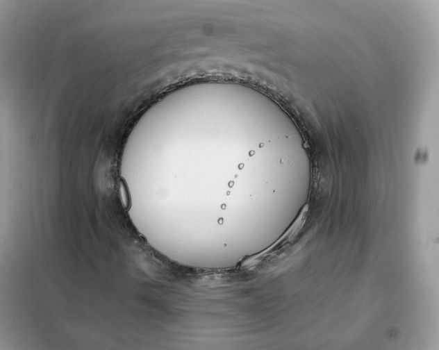 X0000102031490200808011435