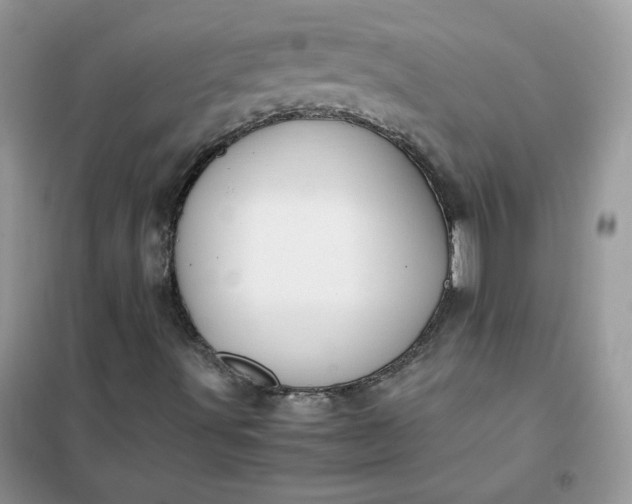 X0000102031491200808011435