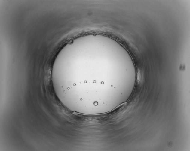 X0000102031492200808011435