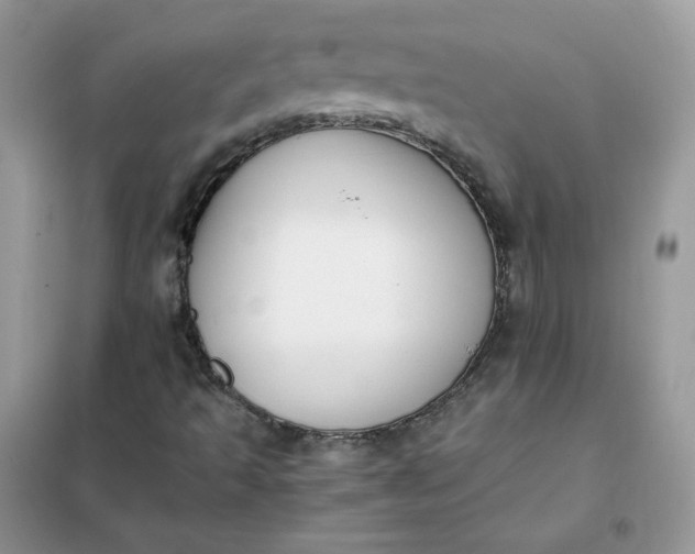 X0000102031493200808011435