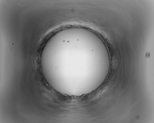 X0000102031494200808011435