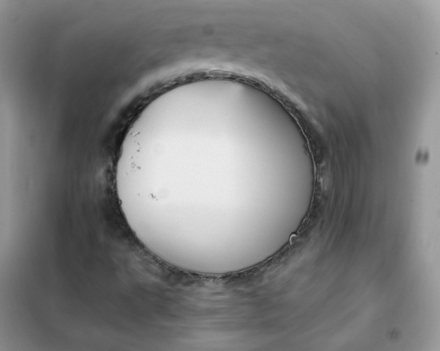 X0000102031495200808011435