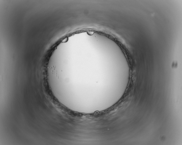 X0000102031496200808011435