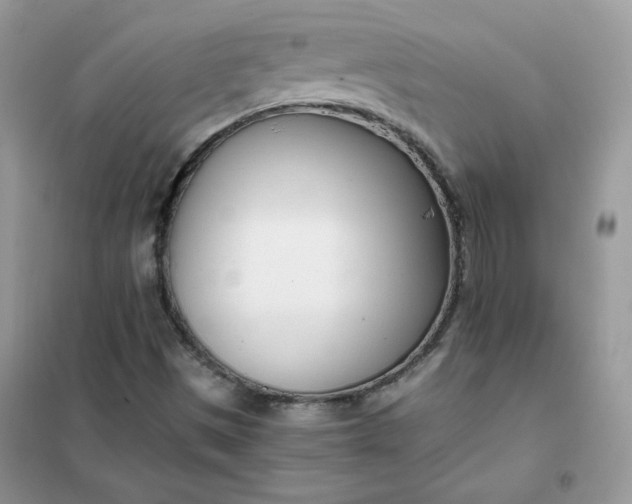 X0000102031497200808011435