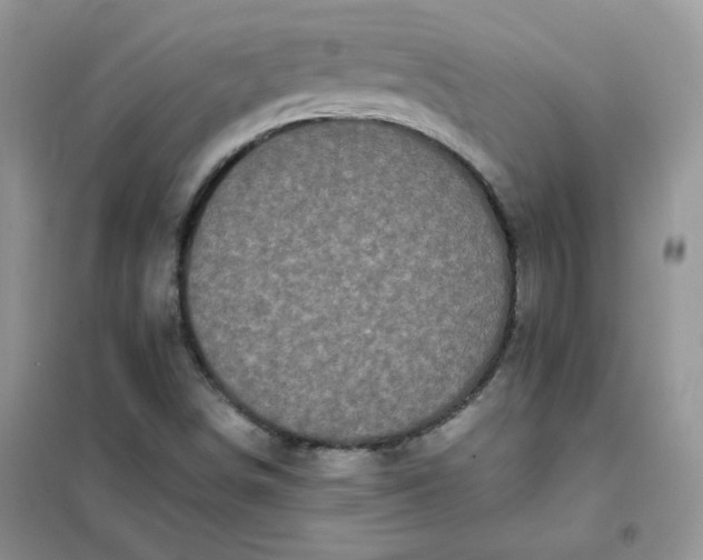 X0000102031498200808011435