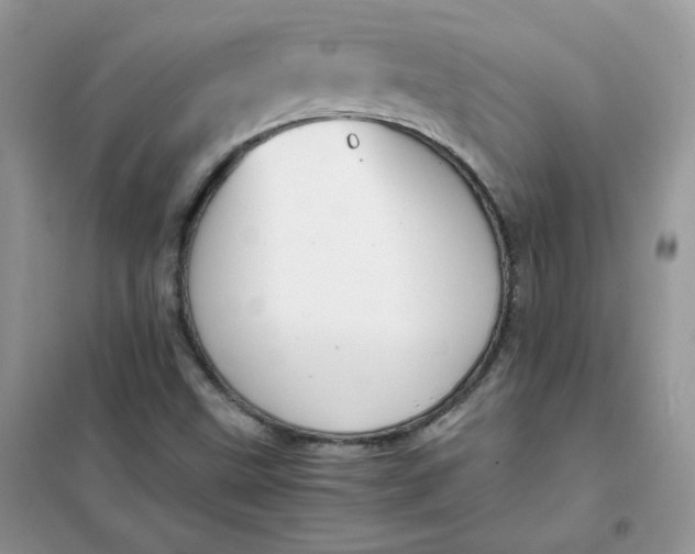 X0000102031499200808011435