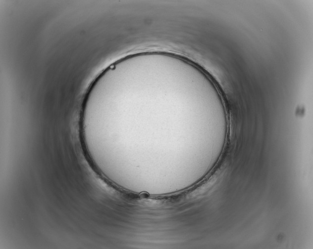 X0000102031500200808011435