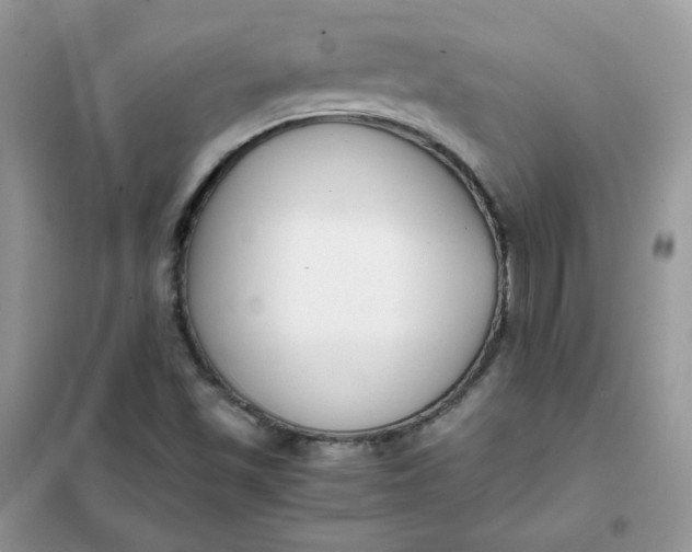 X0000102031501200808011435