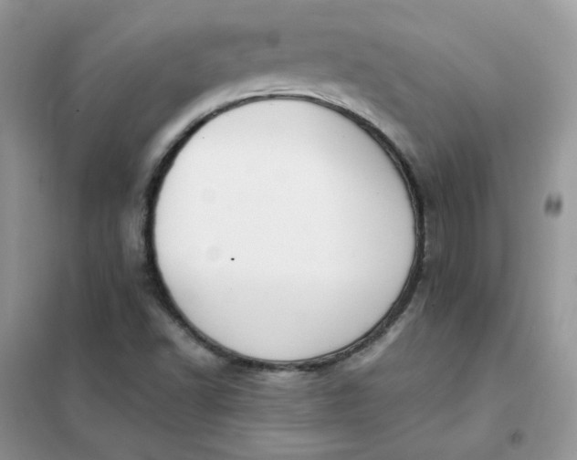 X0000102031502200808011435