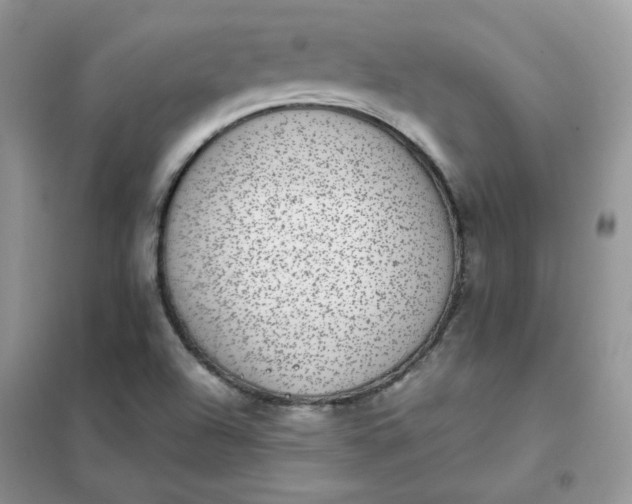 X0000102031504200808011435