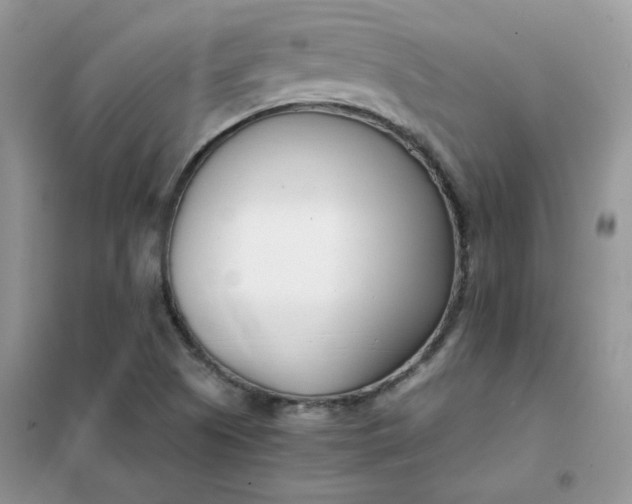 X0000102031505200808011435