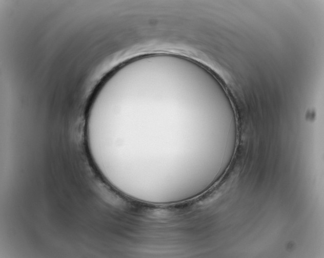 X0000102031507200808011436