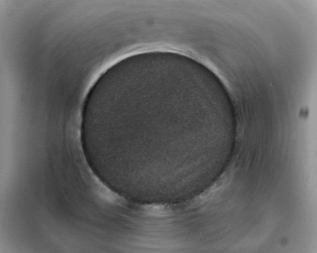 X0000102031508200808011436