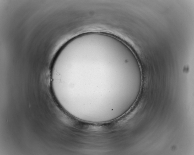 X0000102031509200808011436