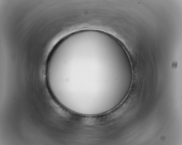 X0000102031511200808011436