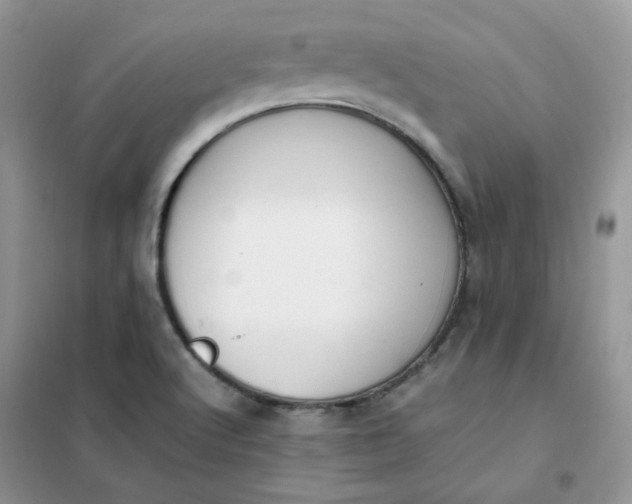 X0000102031512200808011436