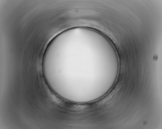 X0000102031513200808011436