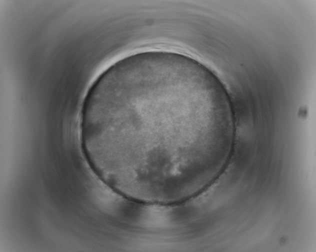 X0000102031514200808011436