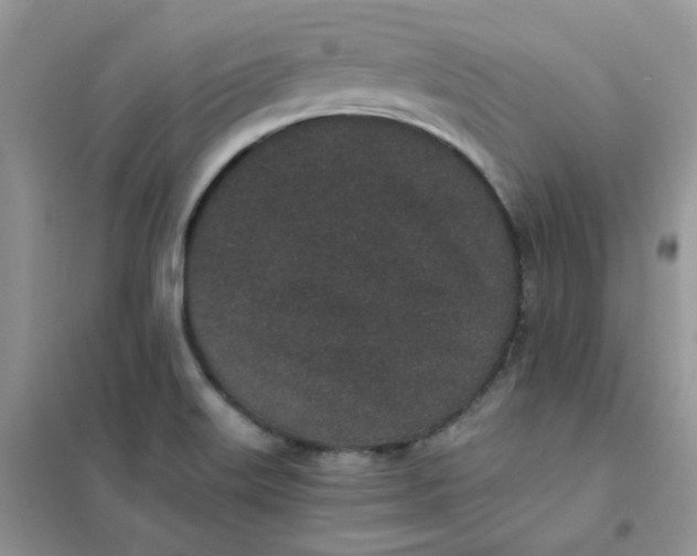 X0000102031515200808011436