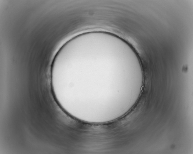 X0000102031516200808011436