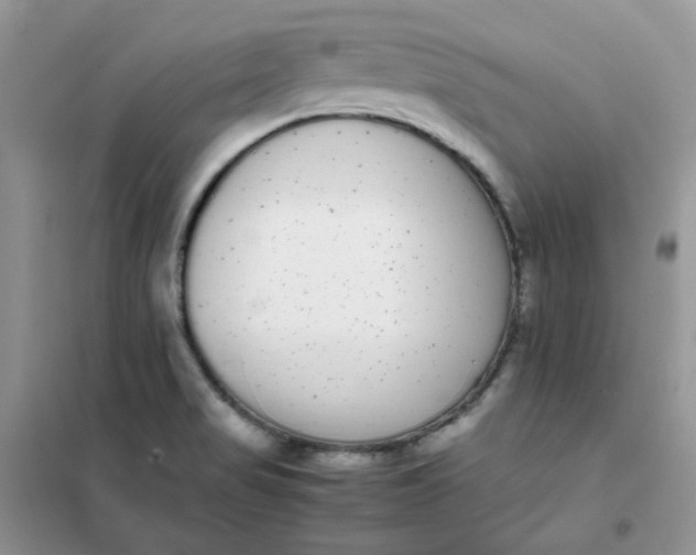 X0000102031517200808011436