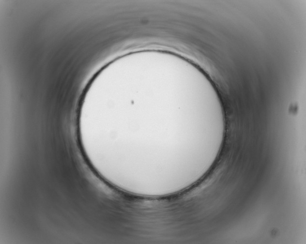 X0000102031518200808011436