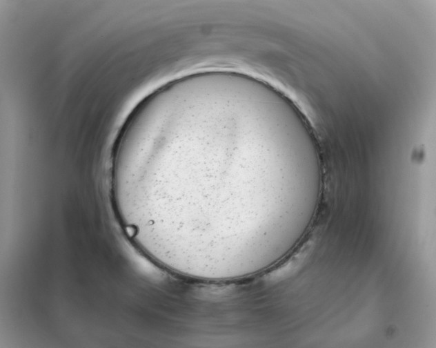 X0000102031519200808011436