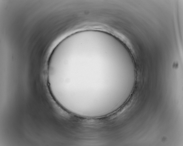 X0000102031520200808011436