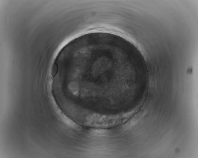 X0000102031522200808011436