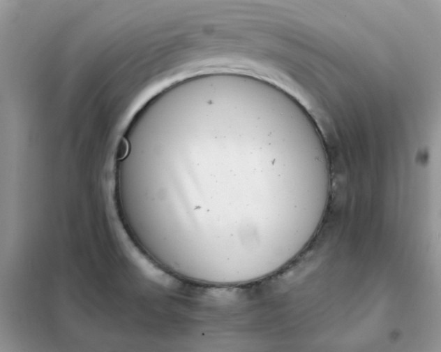 X0000102031523200808011436