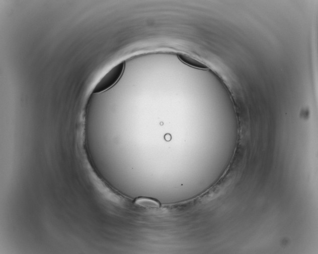 X0000102031524200808011436