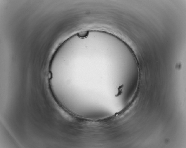 X0000102031525200808011436