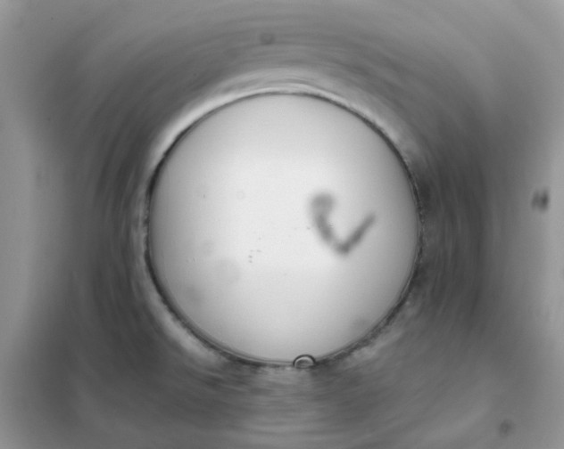 X0000102031526200808011436