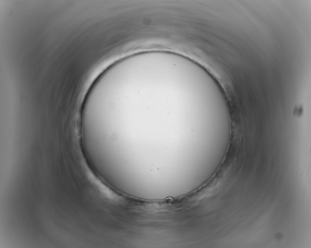 X0000102031527200808011436