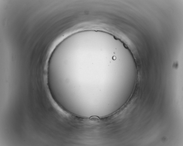 X0000102031528200808011436