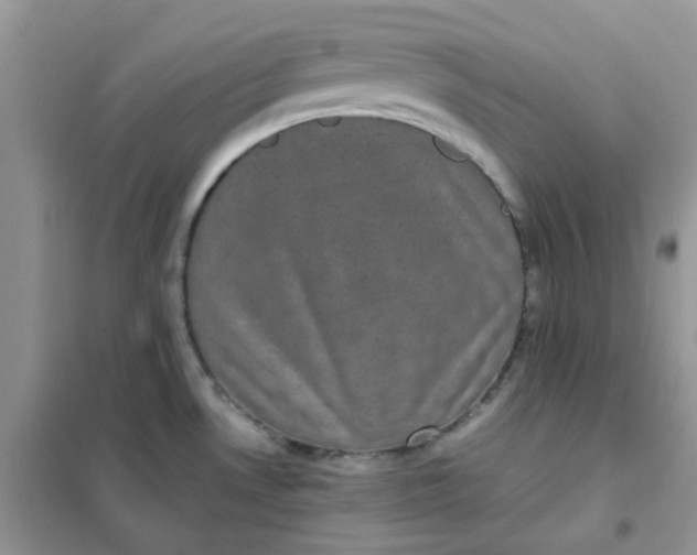 X0000102031530200808011436