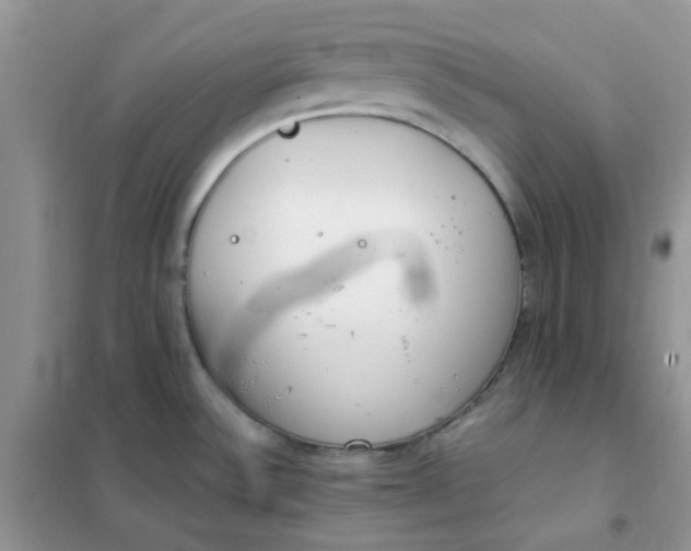 X0000102031532200808011436