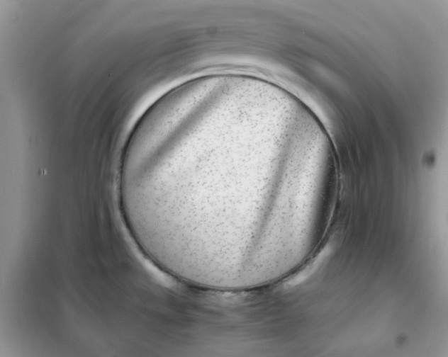 X0000102031533200808011436