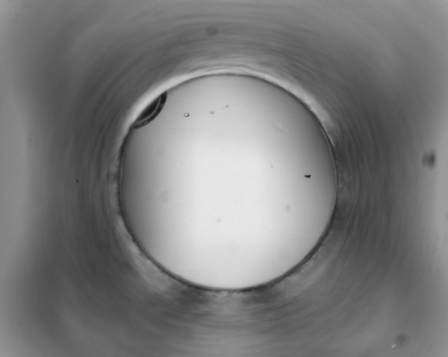 X0000102031534200808011436