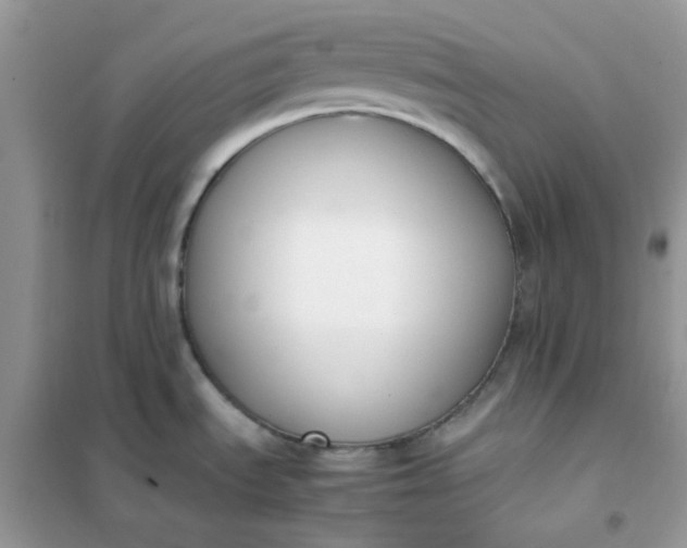 X0000102031535200808011436