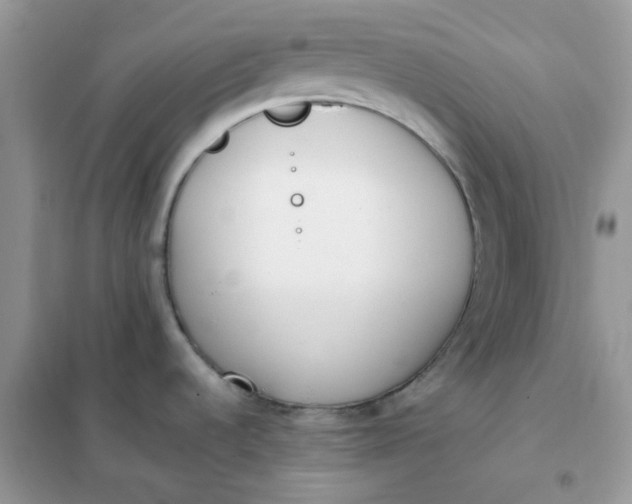 X0000102031536200808011436