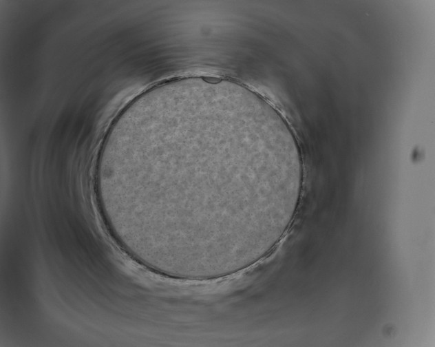 X0000102030001200808081823