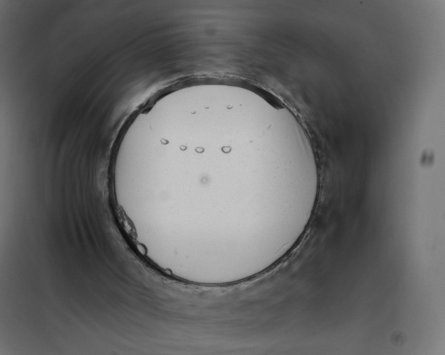 X0000102030002200808081823