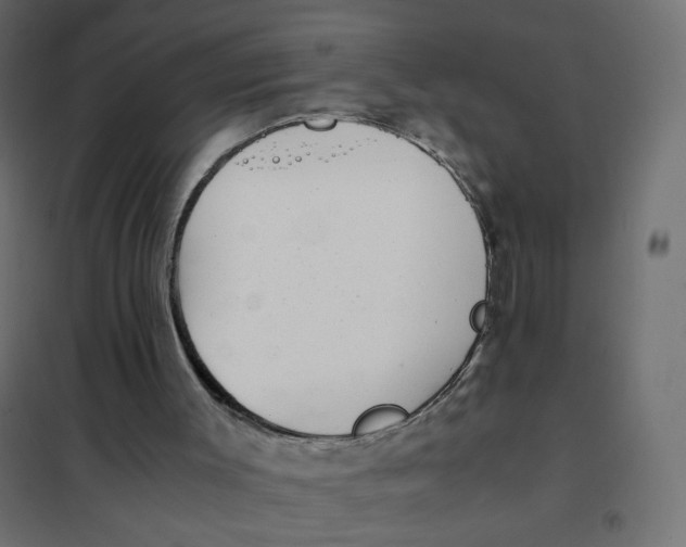 X0000102030003200808081823