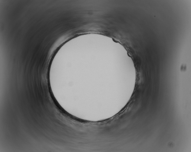 X0000102030004200808081823